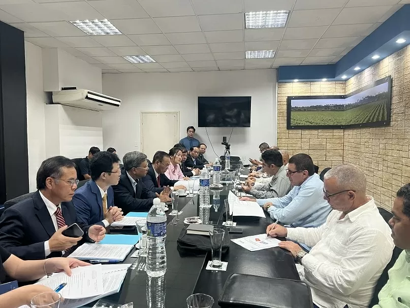 Vietnam-Cuba agricultural cooperation expands from rice to livestock, aquaculture, and biotechnology Vietnam-Cuba agricultural cooperation expands from rice to livestock, aquaculture, and biotechnology