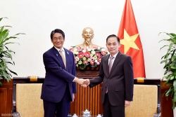 Acting Minister of Foreign Affairs Le Hoai Trung receives Japanese Ambassador Ito Naoki