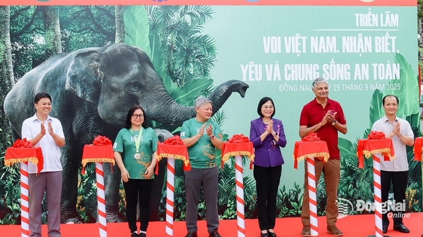 Protecting Vietnam’s Elephants at Conservation week 2025 in Dong Nai