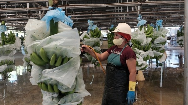 Shaping the living wage agenda: Asia-Pacific’s call to action