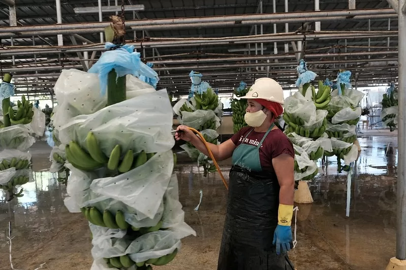 Shaping the living wage agenda: Asia-Pacific’s call to action