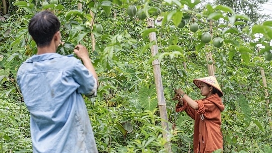 Hmong woman inspires ethnic minority youth community