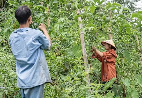 Hmong woman inspires ethnic minority youth community Hmong woman inspires ethnic minority youth community