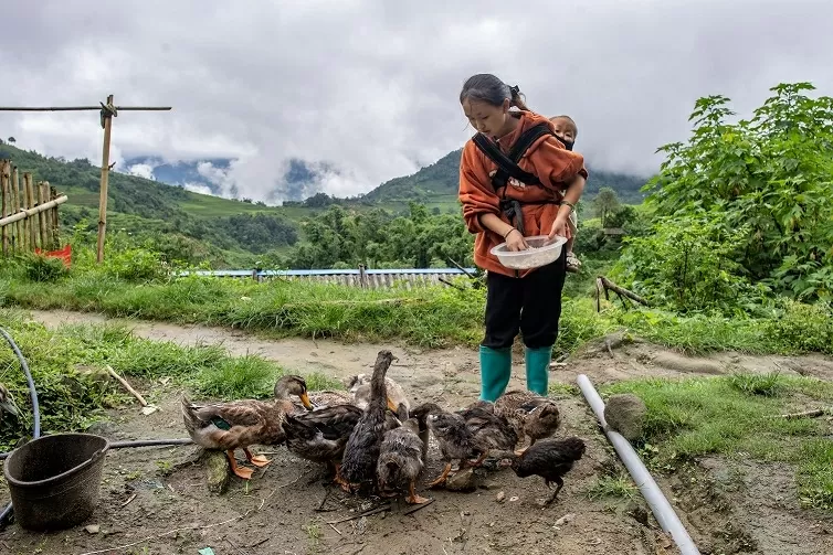Hmong woman inspires ethnic minority youth community Hmong woman inspires ethnic minority youth community