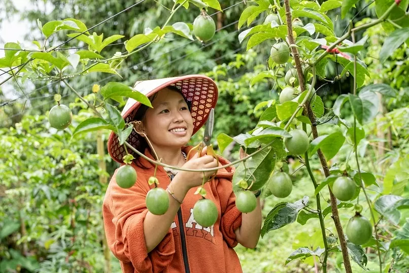 Hmong woman inspires ethnic minority youth community