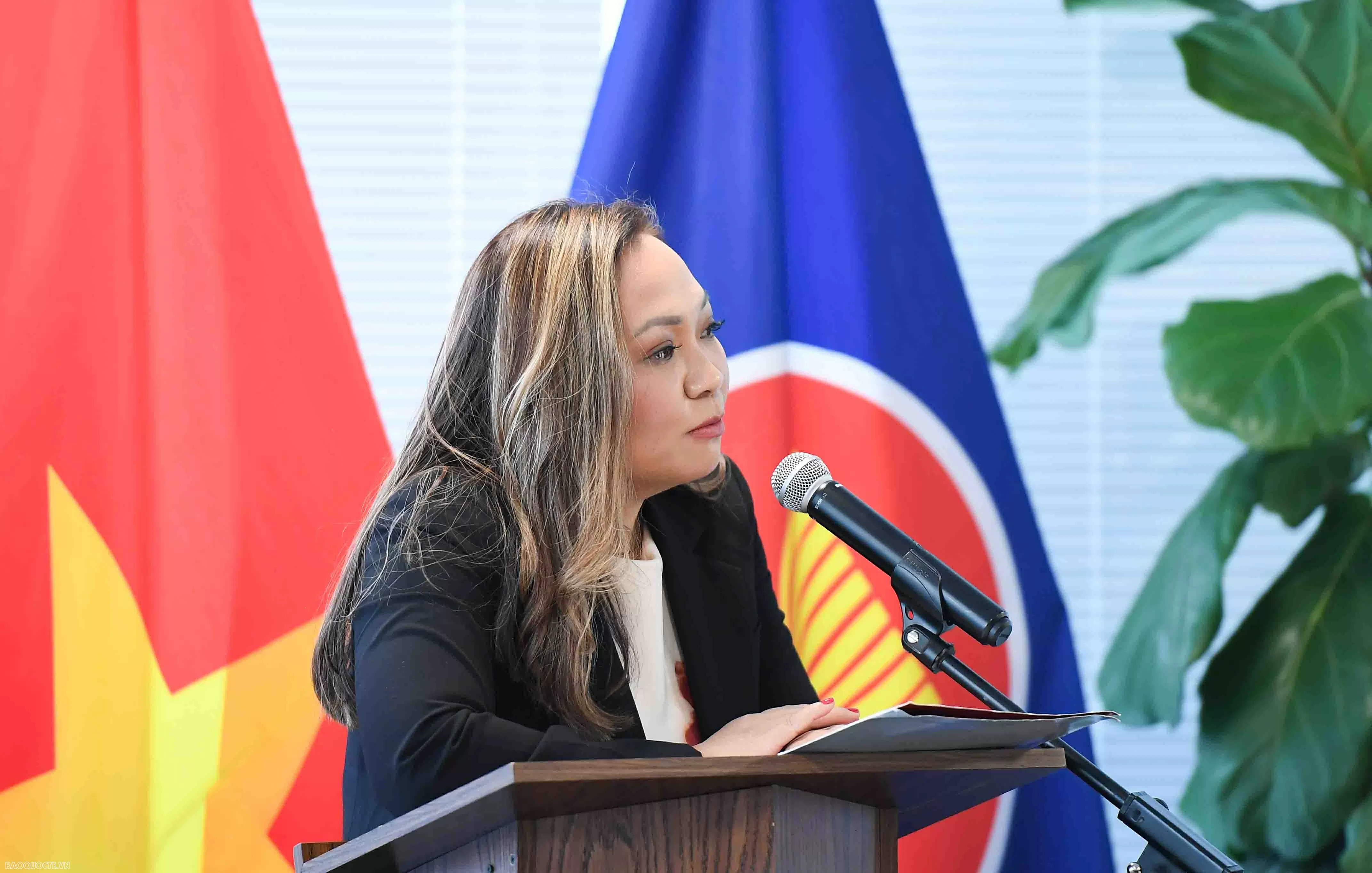 President Luong Cuong meets with representatives of Vietnamese missions, community in US President Luong Cuong meets with representatives of Vietnamese missions, community in US