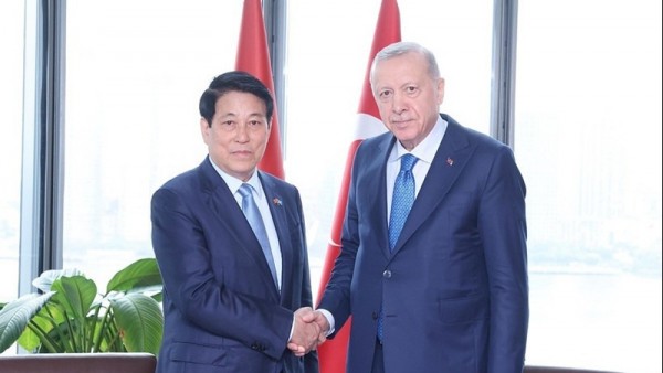 President Luong Cuong meets with Turkish President Recep Tayyip Erdoğan