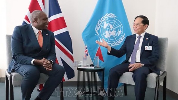 Vietnam seeks to further strengthen strategic partnership with the UK: Deputy PM Bui Thanh Son