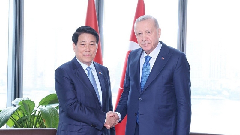 President Luong Cuong meets with Turkish President Recep Tayyip Erdoğan