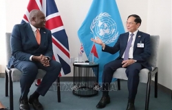 Vietnam seeks to further strengthen strategic partnership with the UK: Deputy PM Bui Thanh Son