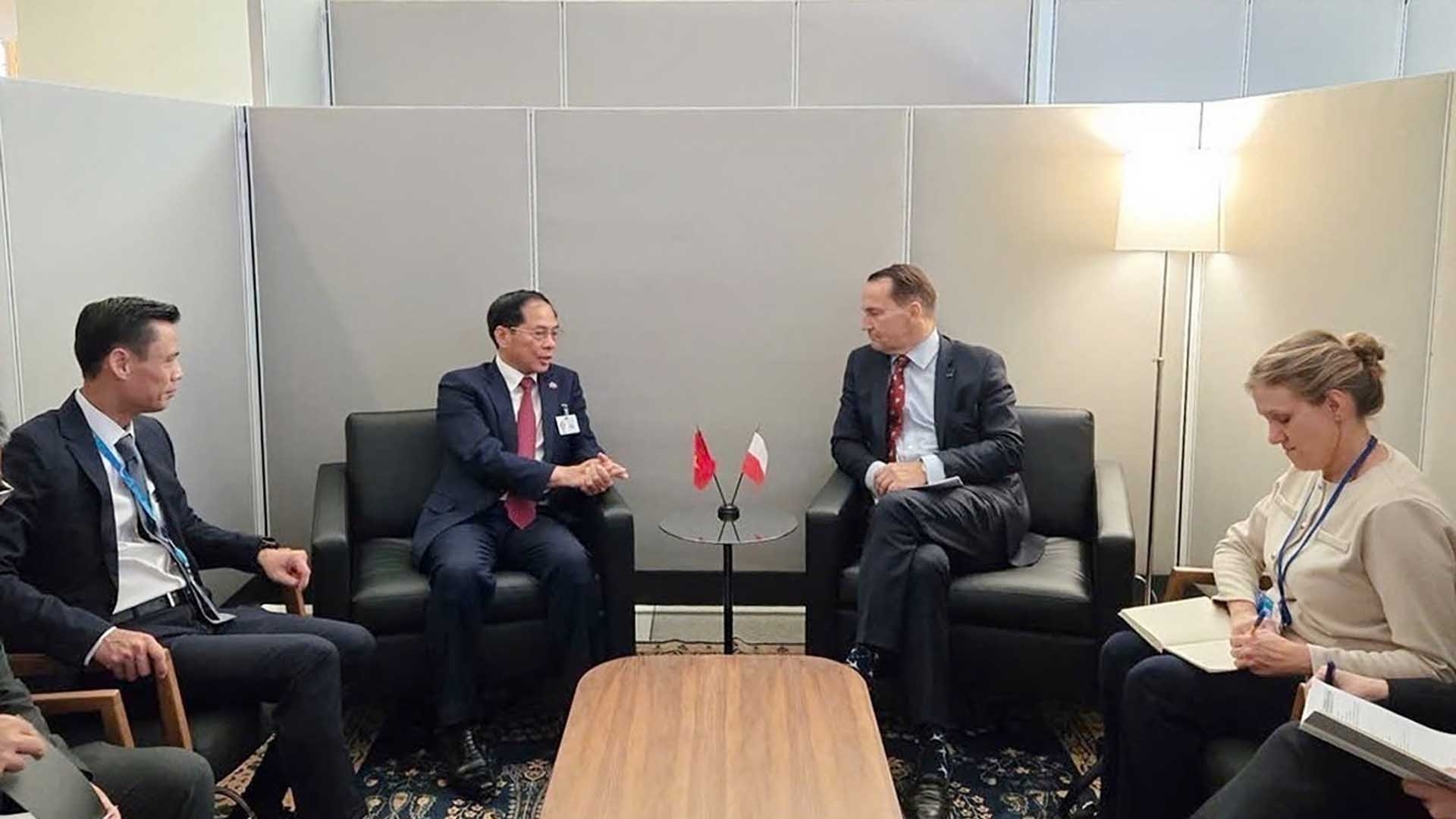 Deputy PM Bui Thanh Son and Polish Deputy PM, FM Radoslaw Sikorski meet in New York