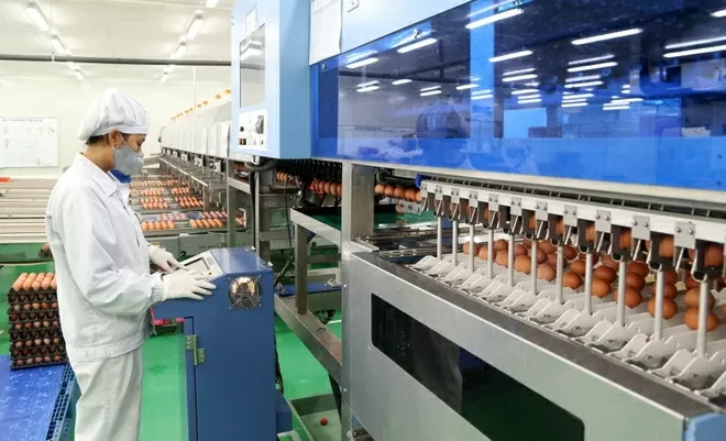 Phu Tho strives to enhance business environment on the Northern Investment Map Phu Tho strives to enhance business environment on the Northern Investment Map