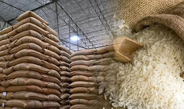 Fifteen regional state reserve branches hold bidding sessions to purchase 200,000 tons of rice. (Photo thesaigontimes)