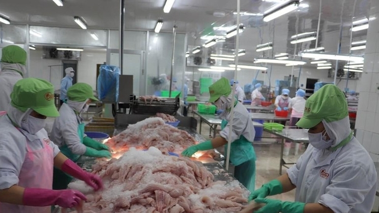 Seafood by-products turned into billion-dollar business