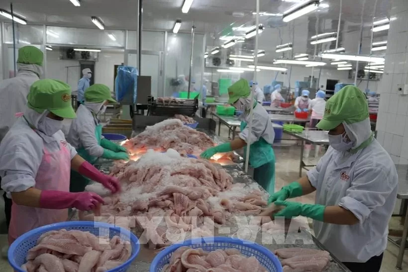 Seafood processing generates a large volume of by-products. (Illustrative photo: VNA) Seafood processing generates a large volume of by-products. (Illustrative photo: VNA)