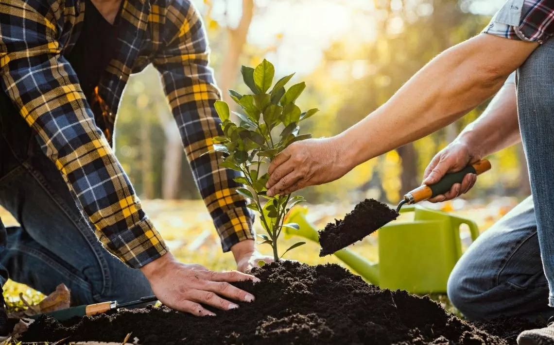 Celebrating success, embracing challenges: The Future of the ASEAN Economic Community (AEC) Celebrating success, embracing challenges: The Future of the ASEAN Economic Community (AEC)