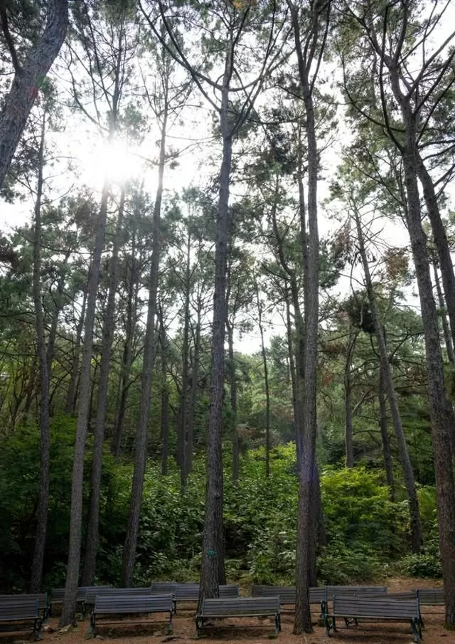 Seoul National University’s ‘secret forest’ to open after 58 years Seoul National University’s ‘secret forest’ to open after 58 years