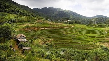 Mung hamlet: A blooming village rising as a community tourism gem