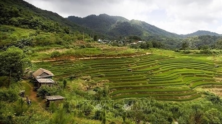 Mung hamlet: A blooming village rising as a community tourism gem