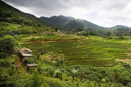 The stunning terraced fields in Mung hamlet of Cao Phong commune, Phu Tho province. (Photo: VNA) The stunning terraced fields in Mung hamlet of Cao Phong commune, Phu Tho province. (Photo: VNA)