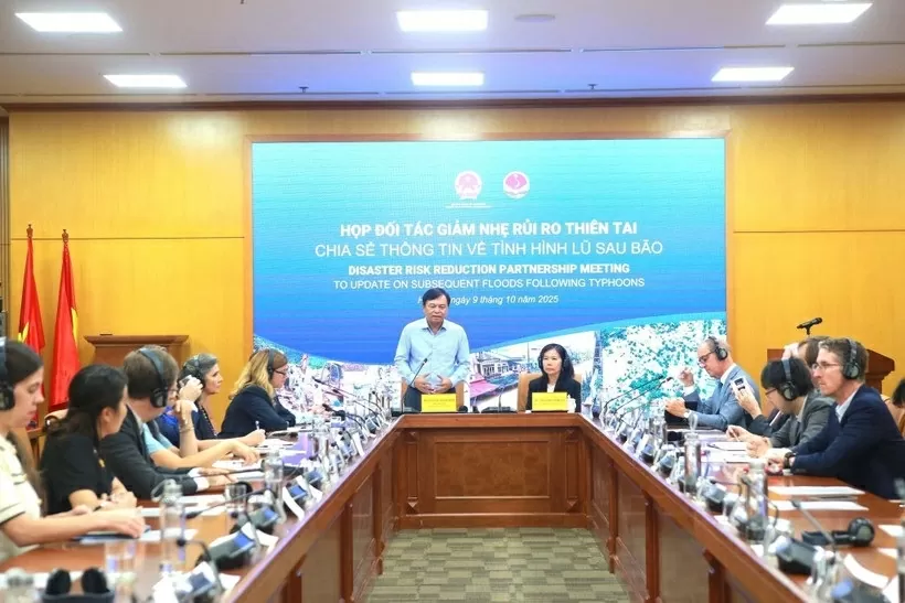Vietnam calls for further international support following recent typhoons: Deputy Minister Vietnam calls for further international support following recent typhoons: Deputy Minister