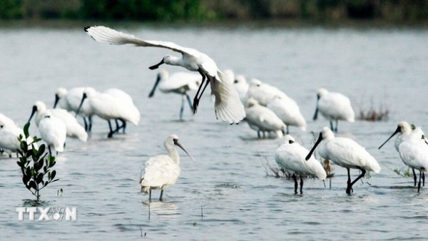 Exploring Vietnam's three new ASEAN Heritage Parks