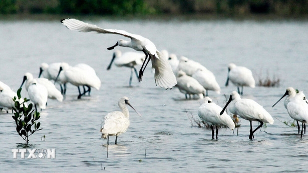 Exploring Vietnam's three new ASEAN Heritage Parks