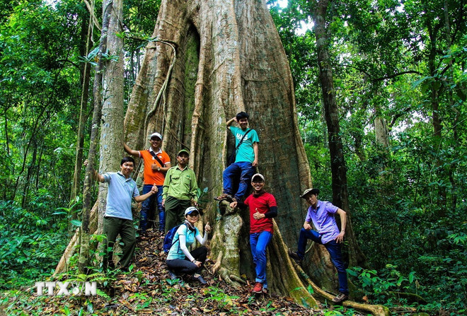 Exploring Vietnam's three new ASEAN Heritage Parks Exploring Vietnam's three new ASEAN Heritage Parks