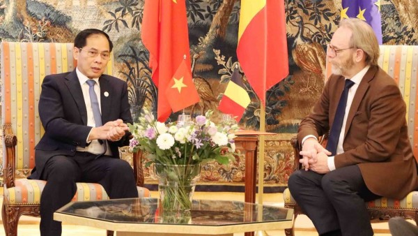 Vietnam, Belgium, EU deepen cooperation across key sectors