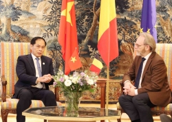 Vietnam, Belgium, EU deepen cooperation across key sectors