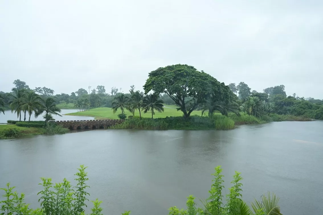 The Modern Vietnamese Woman – Intelligent, Compassionate, and Globally Integrated  Entrepreneur Pham Thi Minh Huong stands as a shining example of the modern Vietnamese woman: intelligent in thought, courageous in action, compassionate at heart, and ever ready to embrace global integration.            From the challenging early days of her entrepreneurial journey to her current pursuit of sustainable green values, she has demonstrated that the Vietnamese spirit shines brightly wherever it may be.            Her story is a testament to the power of perseverance and the strength to overcome hardship and adversity. It serves as an inspiration for the new generation of Vietnamese entrepreneurs—those who are carrying forward the nation’s aspirations and striving to bring Vietnam onto the global stage.