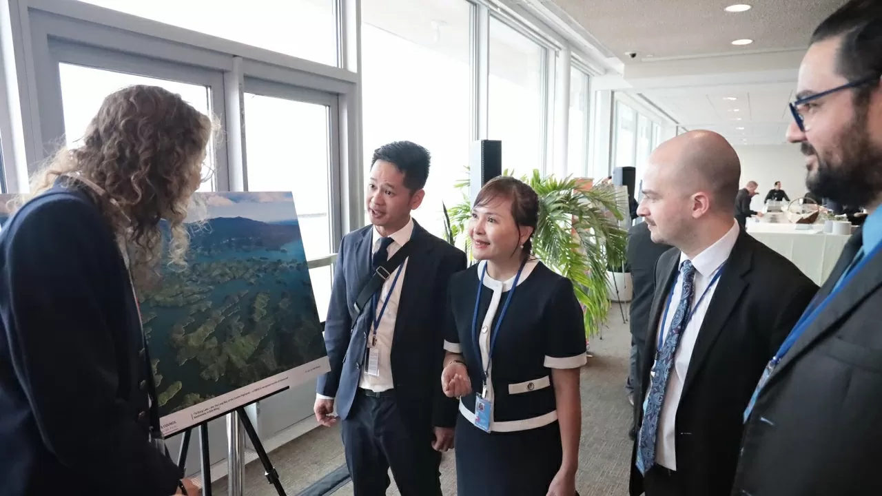 Vietnam's re-election to the United Nations Human Rights Council: A moment of pride and emotion Vietnam's re-election to the United Nations Human Rights Council: A moment of pride and emotion