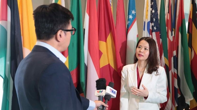 Vietnam's re-election to the UNHRC affirms the country's growing international role, position, and prestige: Deputy FM