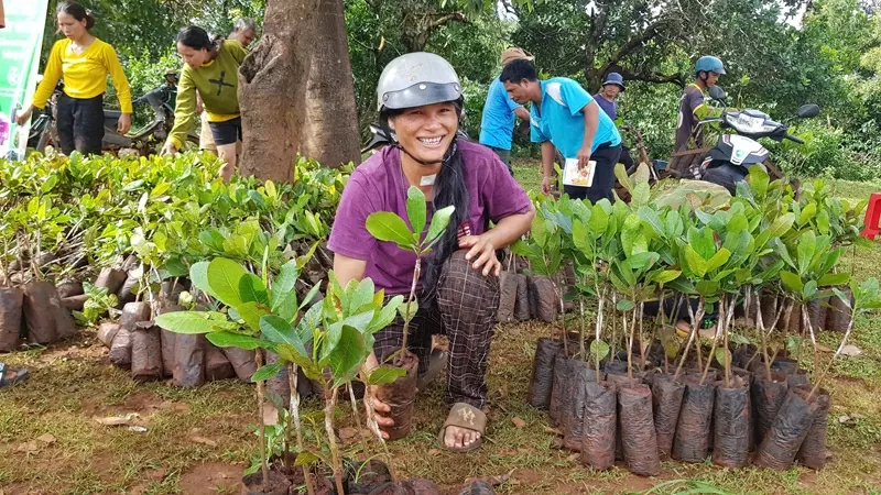 A farmer receiving cashew seedling from ofi Vietnam in 2024.