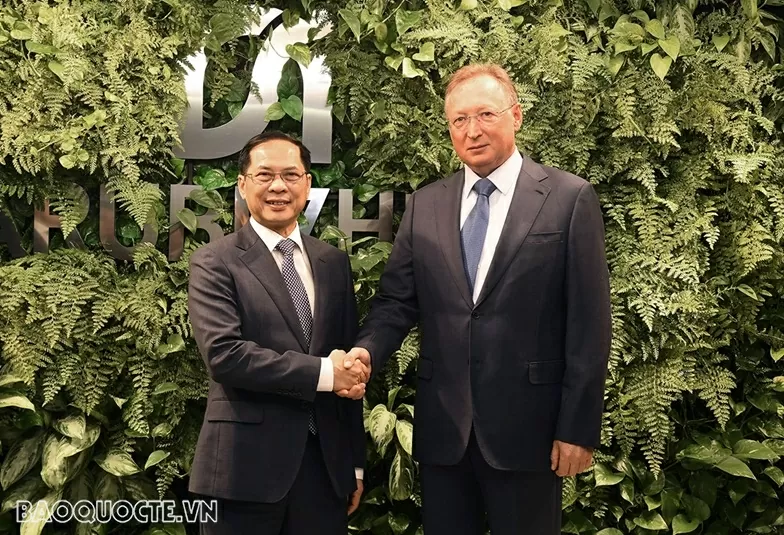 Deputy PM Bui Thanh Son meets with Russian counterpart and business leaders to accelerate energy cooperation