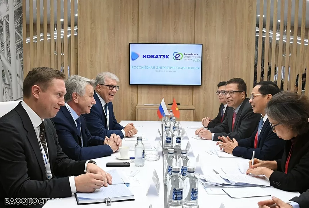 Deputy PM Bui Thanh Son meets with Russian counterpart and business leaders to accelerate energy cooperation