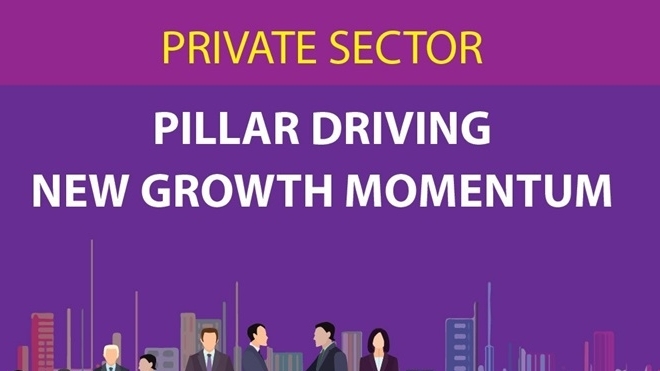 Private sector: Pillar driving new growth momentum