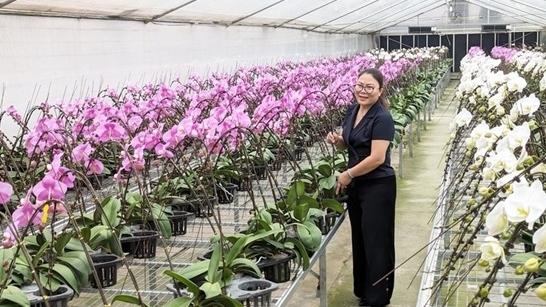 Hanoi promotes hi-tech flower farming for green growth