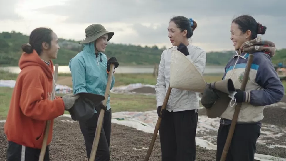 Vietnam’s labour statistics: From modernization to global alignment