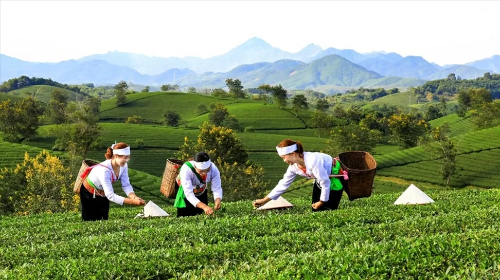 Transforming Phu Tho's culture and human resources into a solid foundation and driving force for development Transforming Phu Tho's culture and human resources into a solid foundation and driving force for development