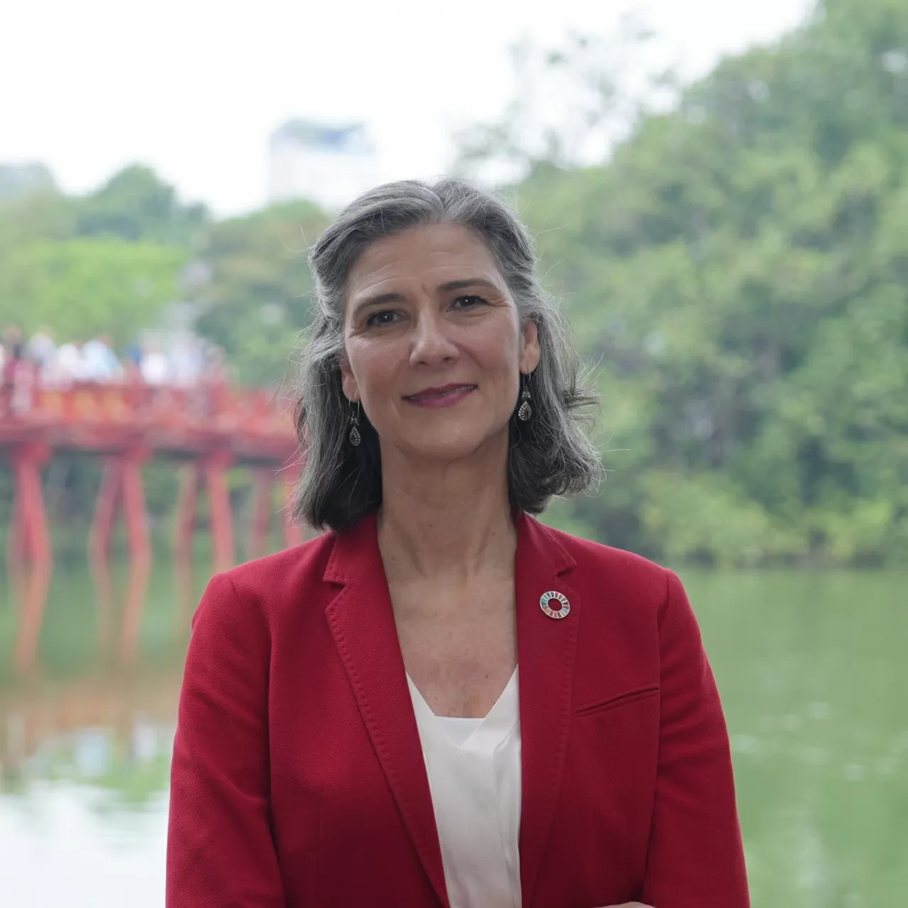 Vietnam brings an important perspective to UN Human Rights Council: UNDP Resident Representative Vietnam brings an important perspective to UN Human Rights Council: UNDP Resident Representative