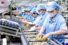 Science and technology diplomacy - Vietnam’s new bridge to the future