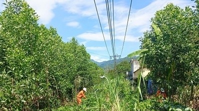 Lịch cúp điện TP. Huế hôm nay ngày 1/11/2025