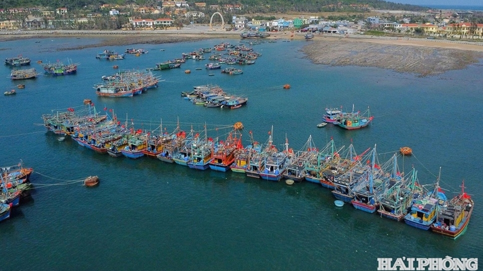 Hai Phong leads Vietnam’s fight against IUU fishing with digital transformation and austainable practices