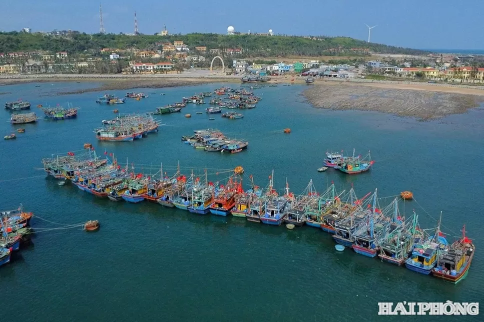 Hai Phong leads Vietnam’s fight against IUU fishing with digital transformation and austainable practices Hai Phong leads Vietnam’s fight against IUU fishing with digital transformation and austainable practices