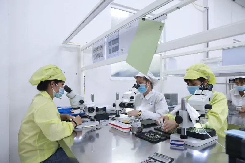 Private sector drives Phu Tho's breakthrough on a new journey Private sector drives Phu Tho's breakthrough on a new journey