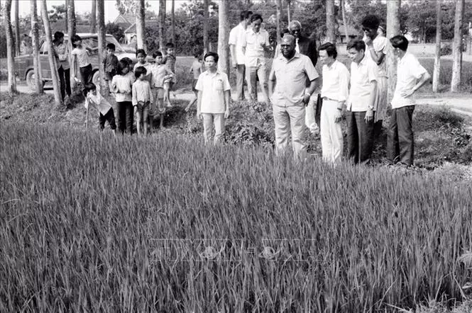 Viet Nam-Angola