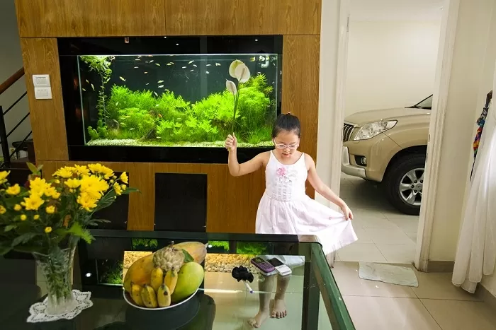 A changing Vietnam through the lens of photographer Catherine Karnow