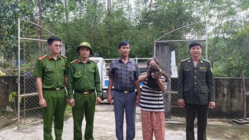 Pu Mat National Park receives two rare macaques voluntarily handed over by local residents
