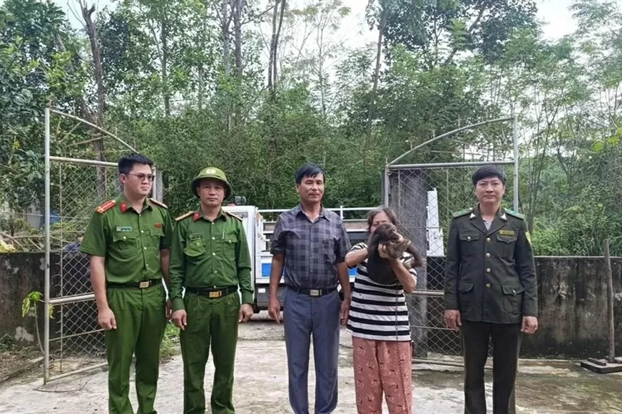 Nghe An residents hand over two endangered macaques to national park authorities Pu Mat National Park receives two rare macaques voluntarily handed over by local residents